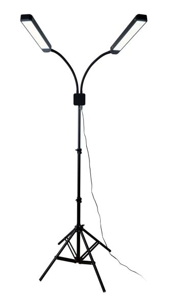 Portable LED Light