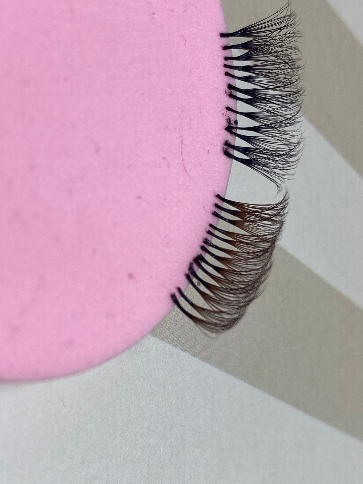 Brown Lashes 0.05